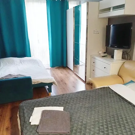 209 Center Tamars Apartment *